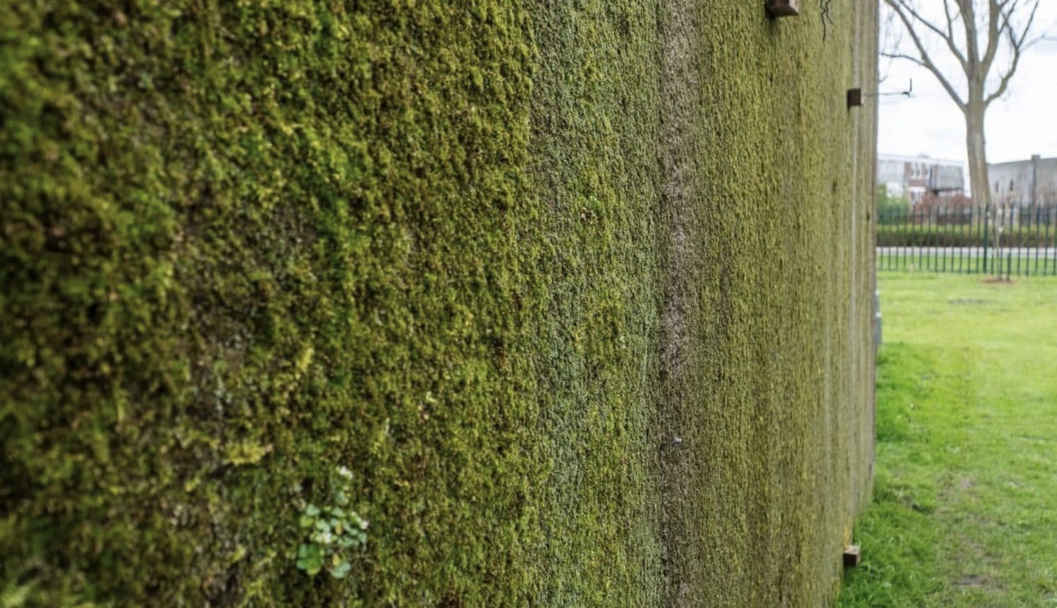 calcestruzzo bioricettivo