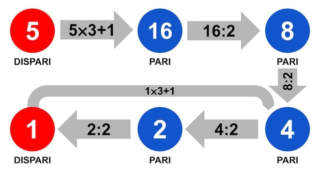 Eksempel på beregning av Collatzs formodning: Fra nummer 5 kommer du i sekvens 16, 8, 4 2 og til slutt 1, etter 1 du går tilbake til 4 og gjenta syklusen 4, 2, 1 til uendelig