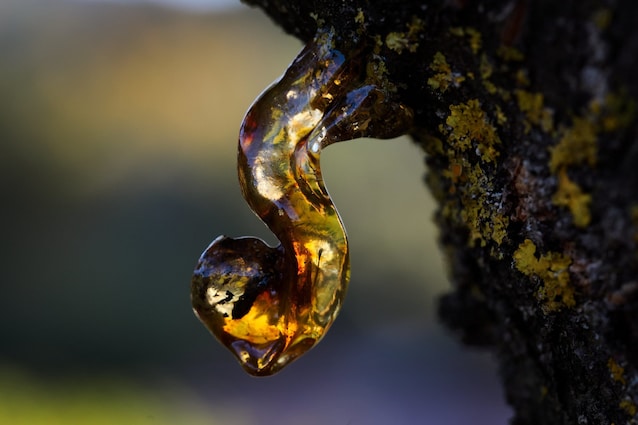 Colle laget av harpikser