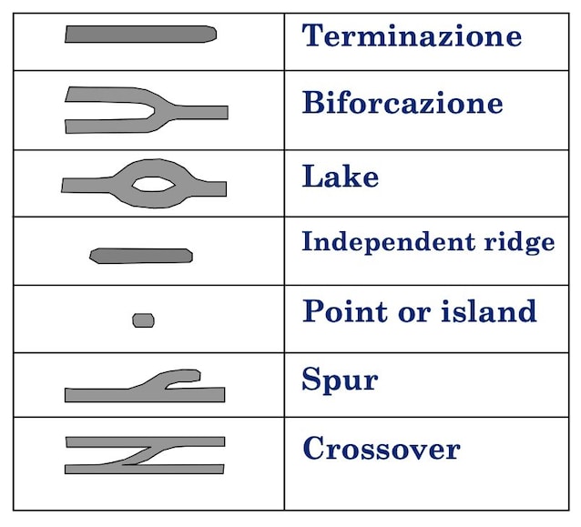 Daktyloskopisk minutiae -form
