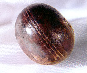 Una sfera di Klerksdorp. Ha un diametro di 3&ndash;4 centimetri e uno spessore di 2,5 centimetri. Credit: Robert Huggett, via Wikimedia Commons