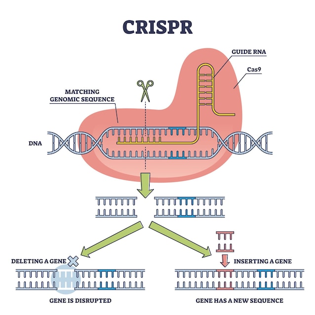 CRISPR