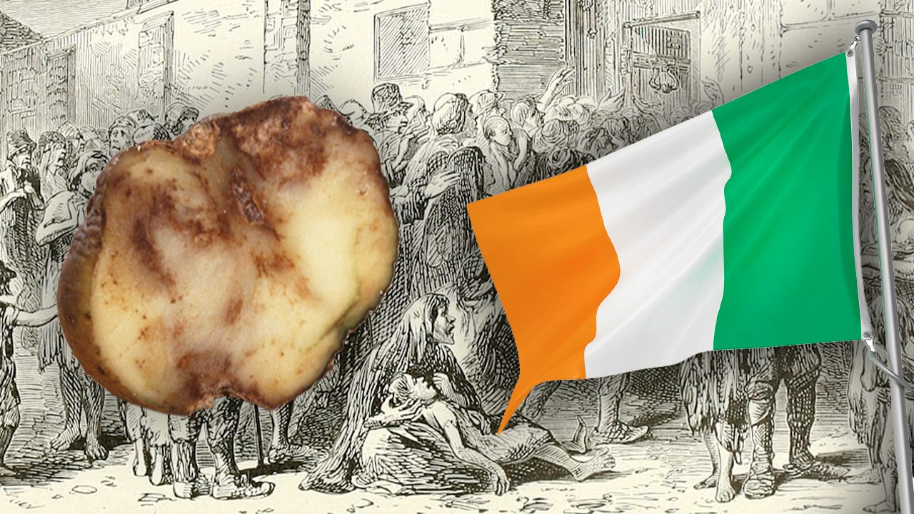 grande carestia irlandese