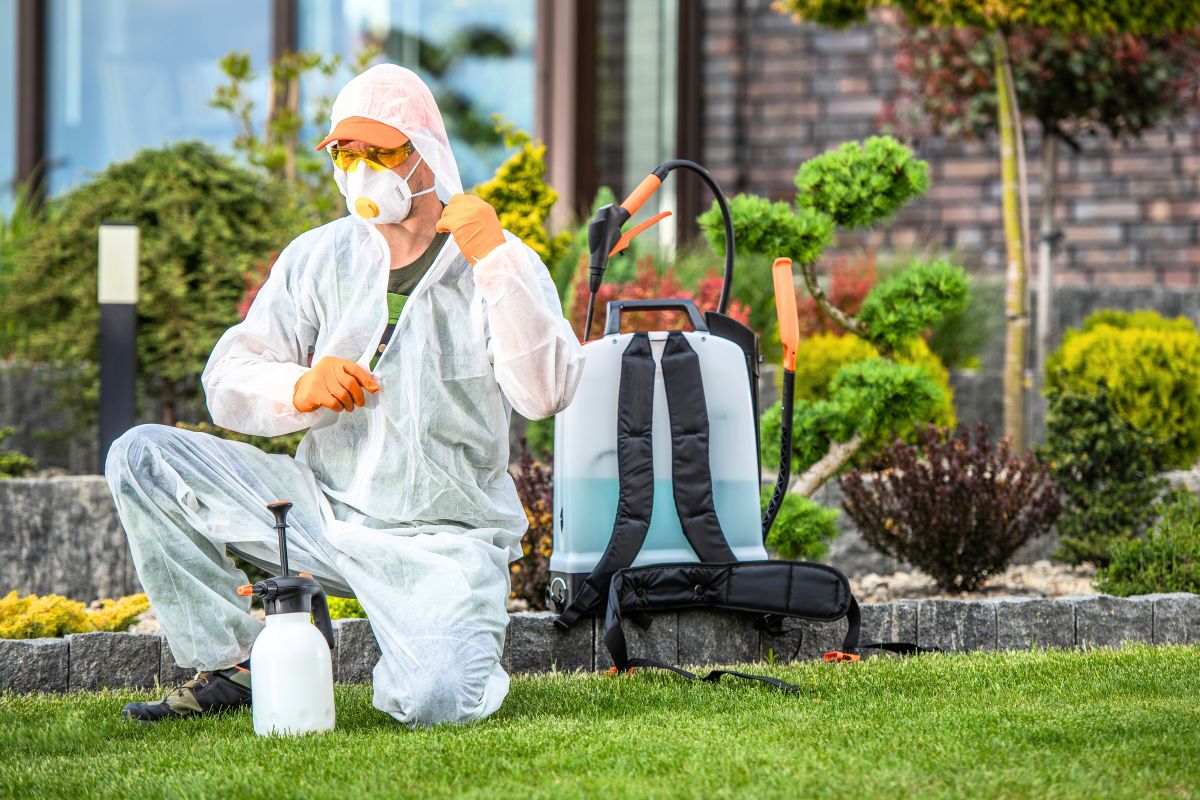 beste insektmiddelet