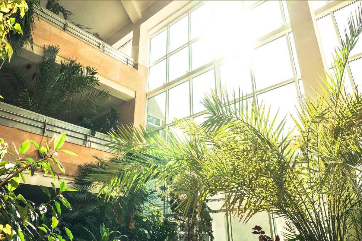 Hva sier det egentlig om deg at du elsker å ha planter hjemme