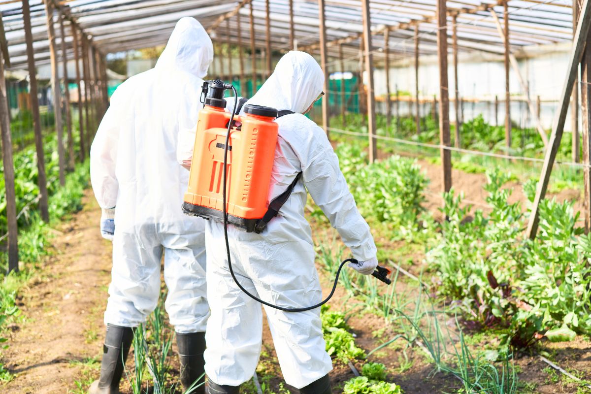 Disse vanlige matvarene er fulle av pesticider