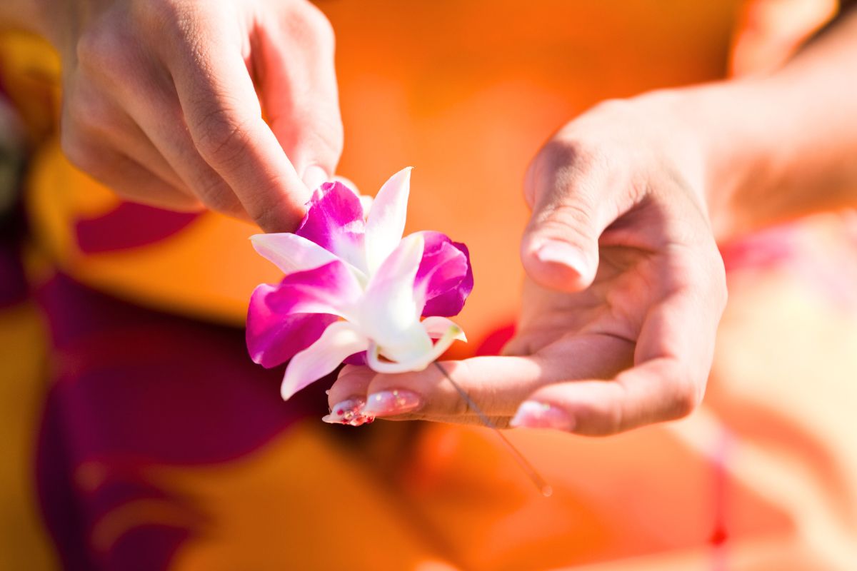 Får ikke orkidéen din til å blomstre lenger
