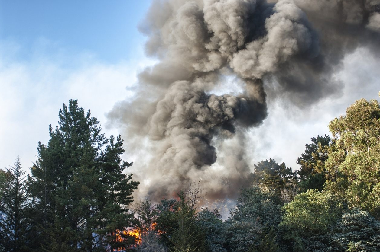 incendi italia