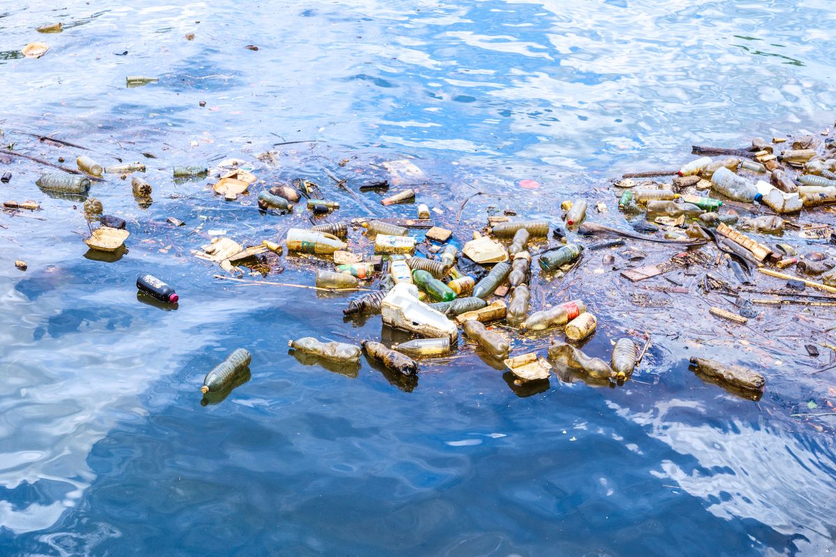 Derfor advarer forskere