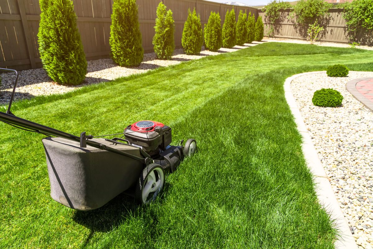 Unngå disse gresspleie-feilene