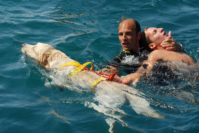 Cinofila enhet lagring