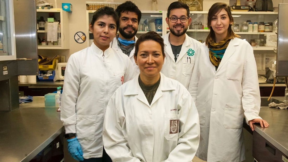 Kvinnen som redder kvinner