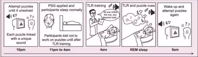 kreative drømmer protokoll