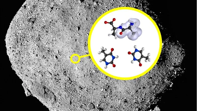 bennu asteroide molecole della vita