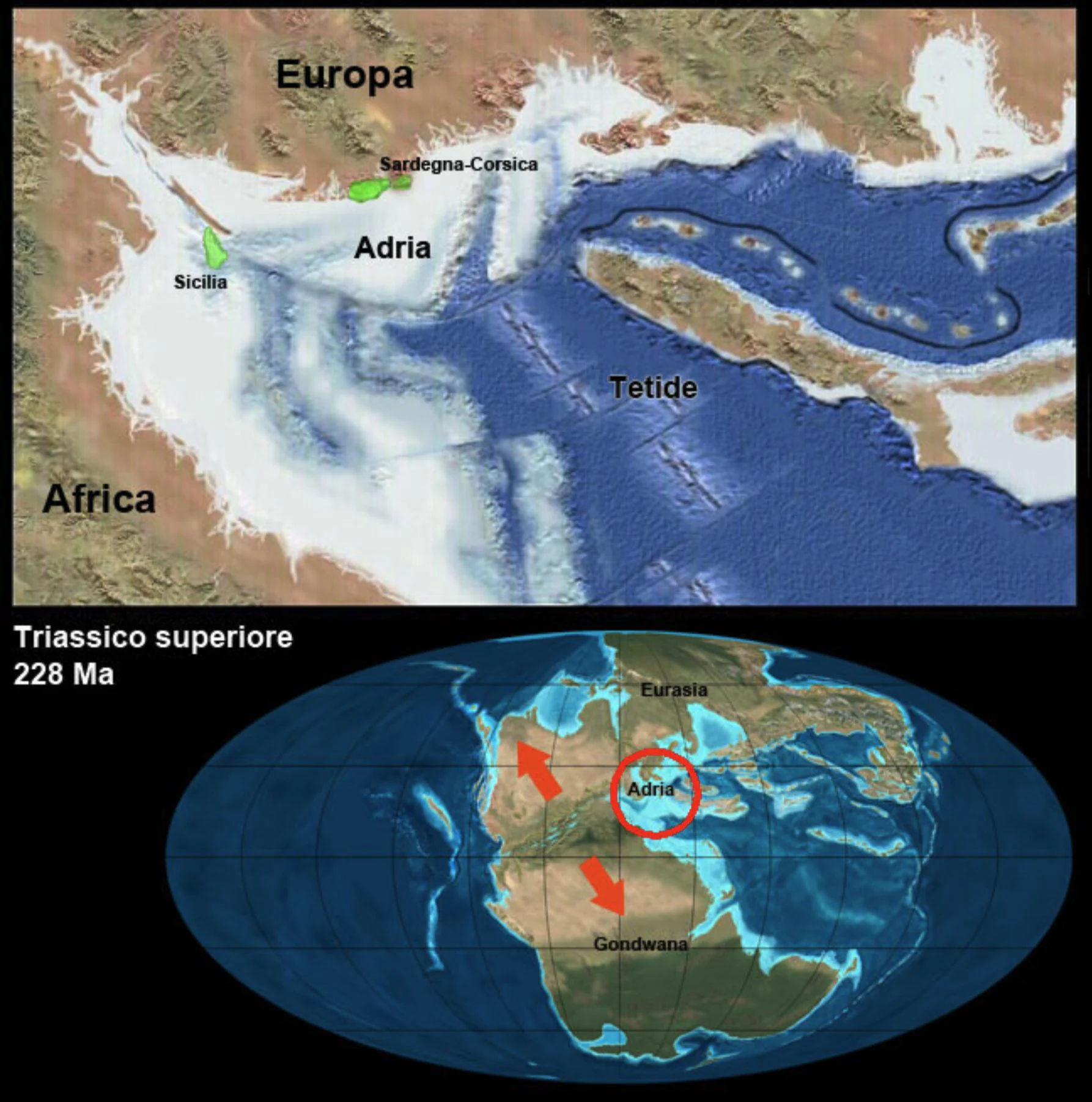 en 250 millioner år lang reise
