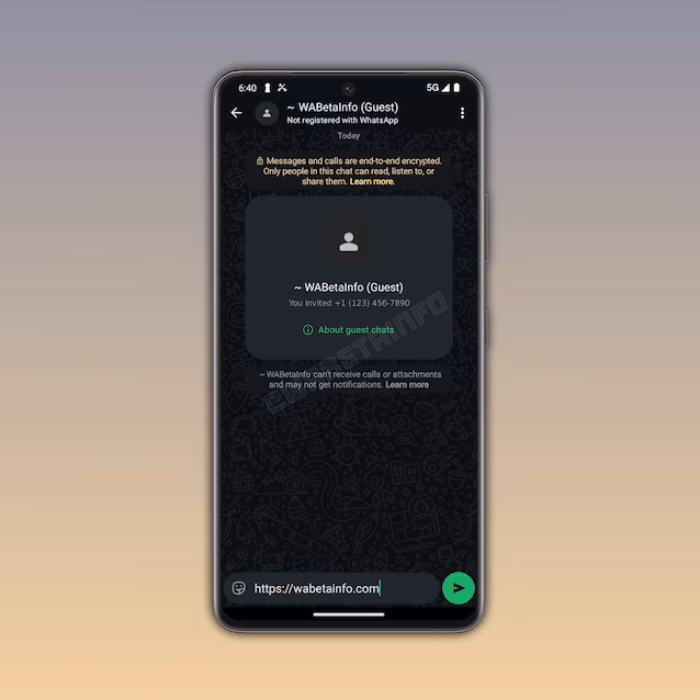 WhatsApp gjestechat.