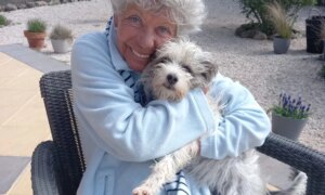 Finn dyrepassere som elsker kjæledyr for å ta vare på dine