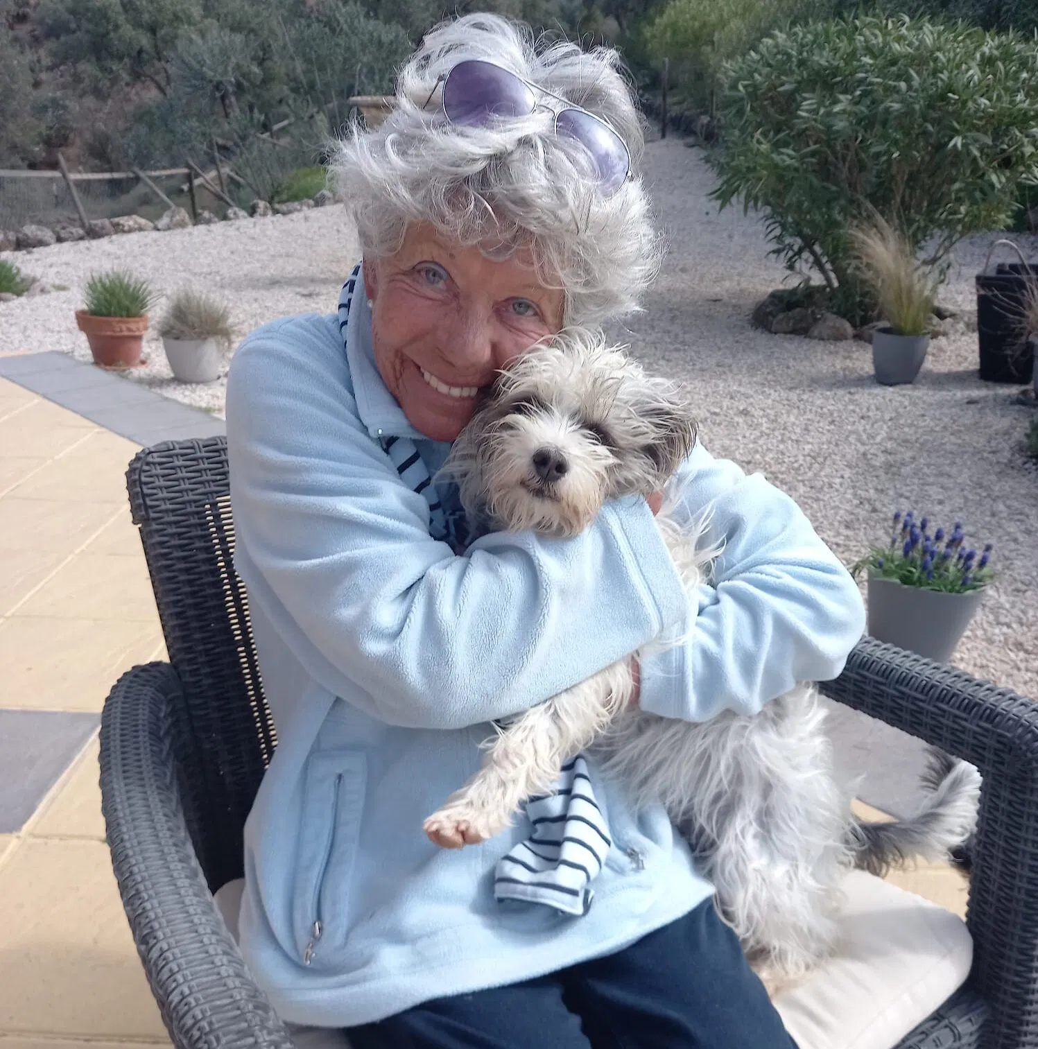 Finn dyrepassere som elsker kjæledyr for å ta vare på dine