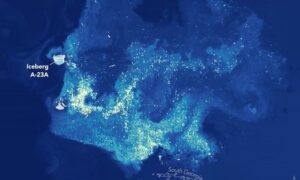 Smeltende isfjell A-23a drivstoff Planteplankton blomstrer i havet: Utsikt fra verdensrommet