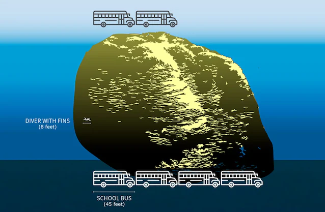 dimensjoner av Mariana Trench-koraller