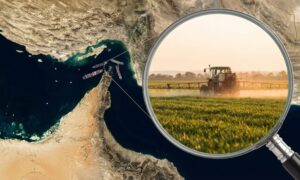 Hormuz-stredet-blokade truer landbruket: innvirkning på gjødsel