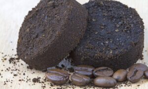 hva vitenskapen bak midlet sier