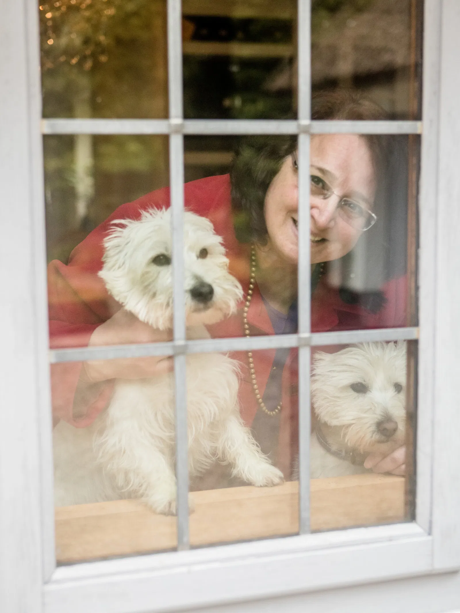 HouseSitMatch-sittere elsker kjæledyr, de kan ta vare på dine gratis!