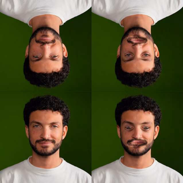 dena thatcher illusjon