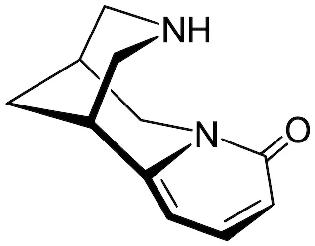 (-)-Cytisin cytisin molekyl