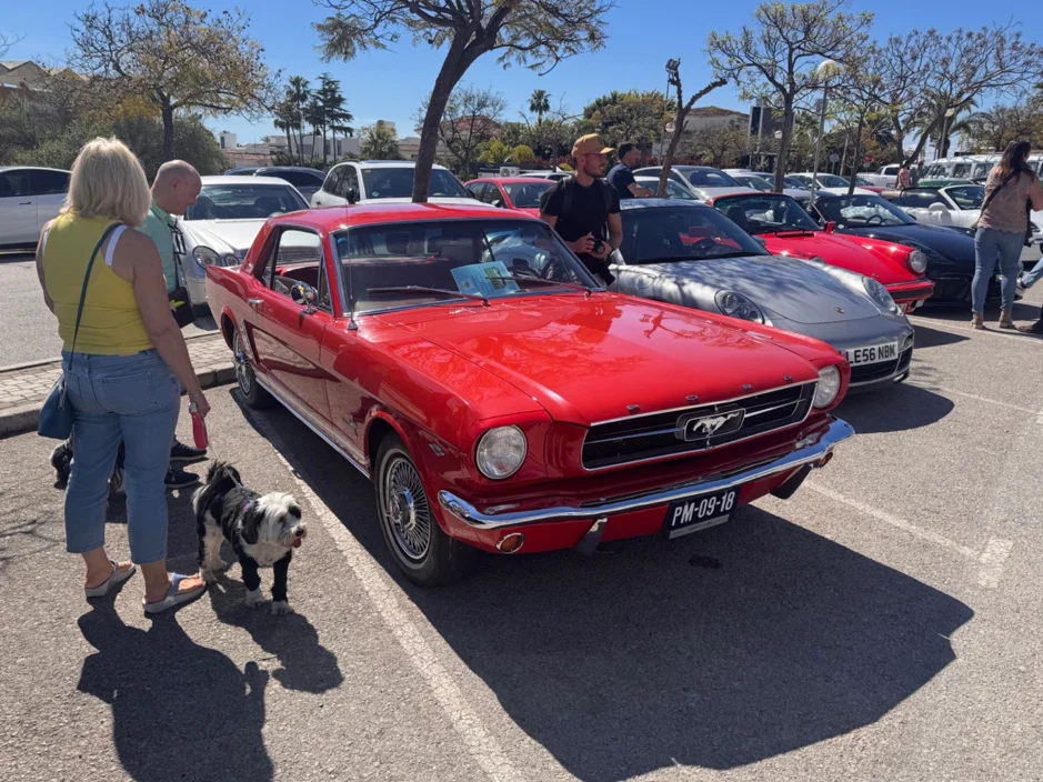 Cars and Coffee Meeting