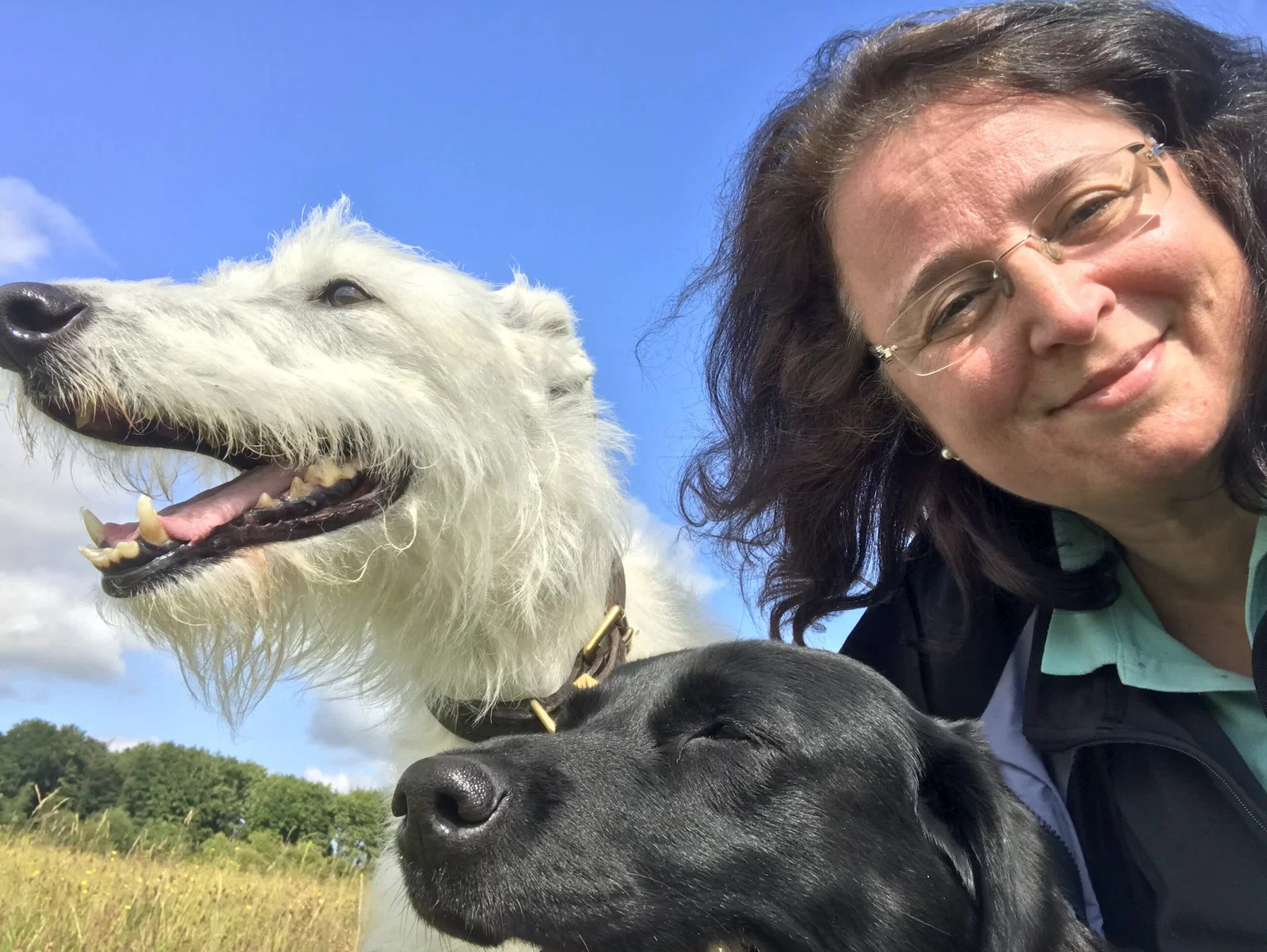 HouseSit Match-dyrepassere elsker dyr