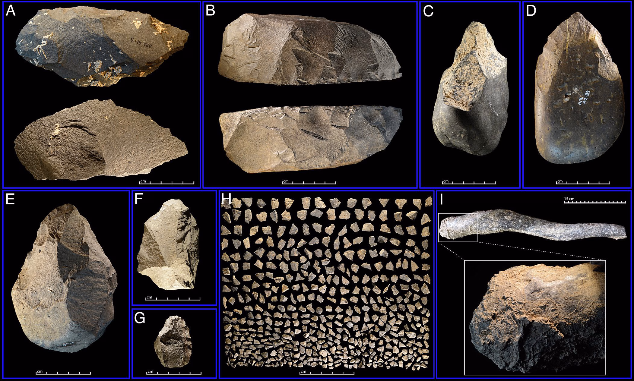 Fossiler fra 100 000 år siden oppdaget i Etiopia som omskriver livet til den første Homo Sapiens