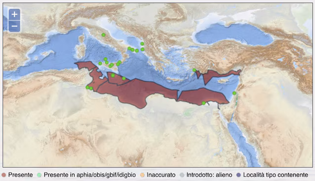 distribusjon av vampyrsnegl