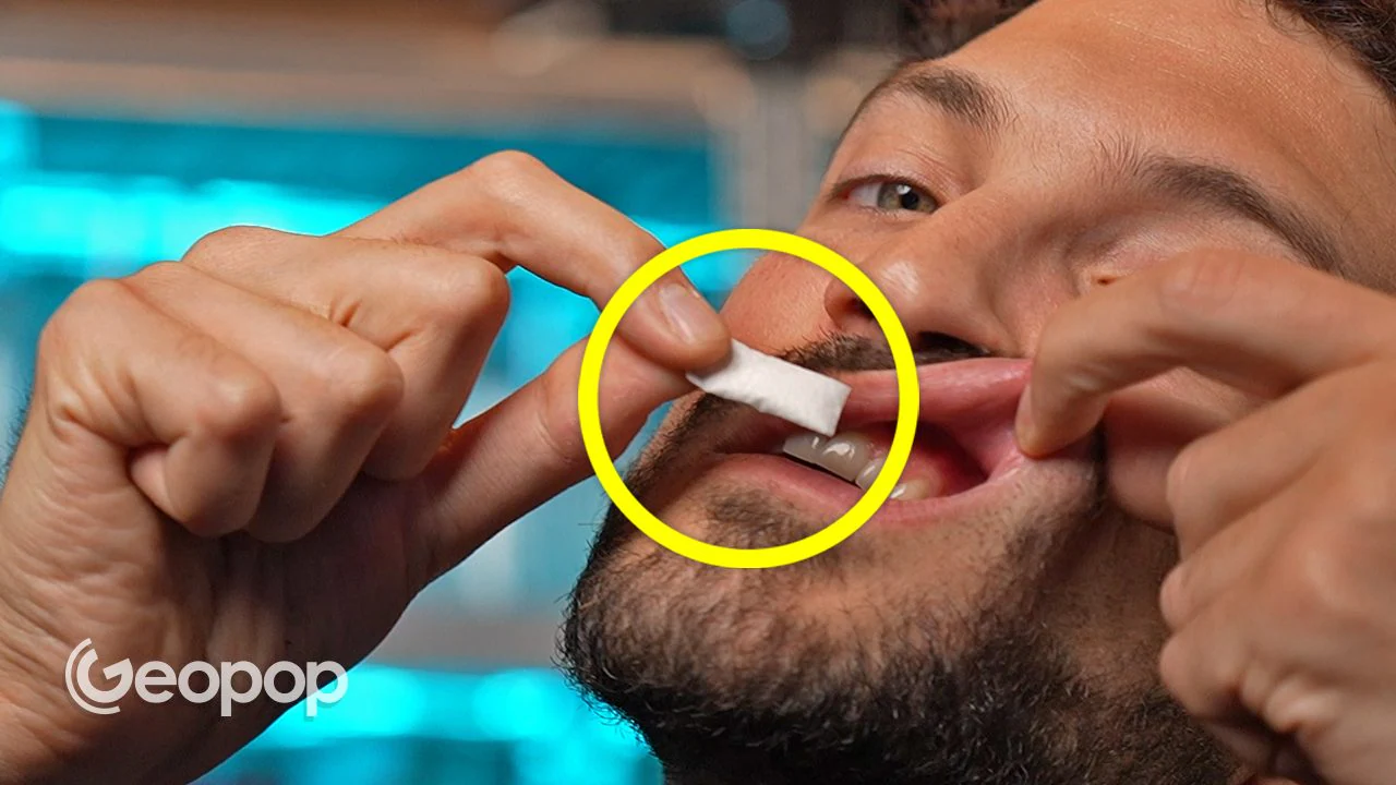 anatomi og risiko ved nikotinposer