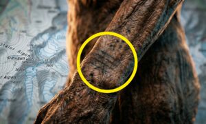 De eldste kjente tatoveringene dateres tilbake 5000 år: funnet på to mumier