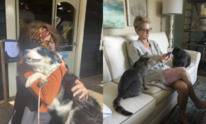 Vi ser etter nye husvakter hos HouseSitMatch