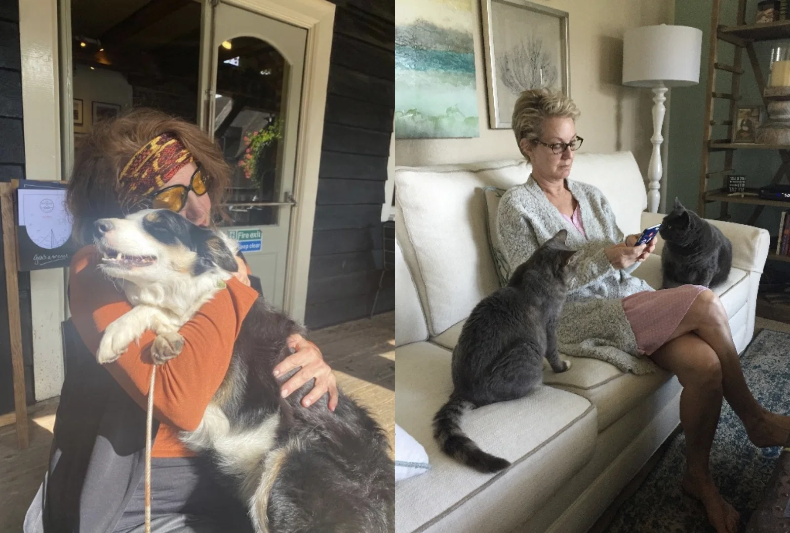 Vi ser etter nye husvakter hos HouseSitMatch