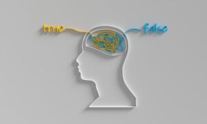 effekten av cannabis på hukommelsen, studien