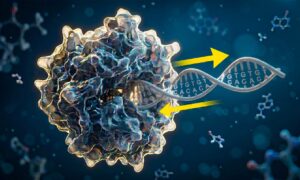 oppdagelsen utfordrer biologiens sentrale dogme