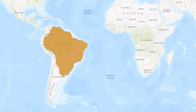 Capybara distribusjon