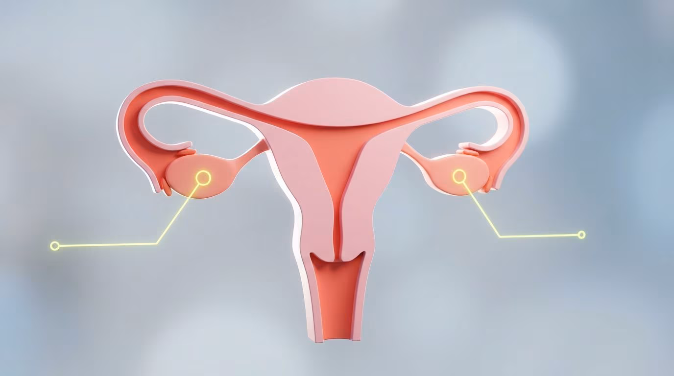Hvorfor navnet på polycystisk ovariesyndrom har endret seg, er det nå Polyendocrine Metabolic Ovarian Syndrome (PMOS)