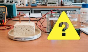 Fant de virkelig opp et &laquo;tofu-batteri&raquo; med en levetid på 300 år? La oss avklare