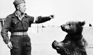 Den sanne historien om Wojtek, den polske bjørnesoldaten som kjempet i andre verdenskrig