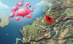 Flamingo-opprøret mot Kushner-Trump: Hvordan en miljøprotest ble en sak i Albania