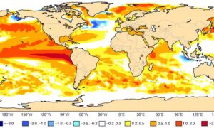El Niño har offisielt begynt, NOAA bekrefter det: det er ikke årsaken til hetebølgene i Italia