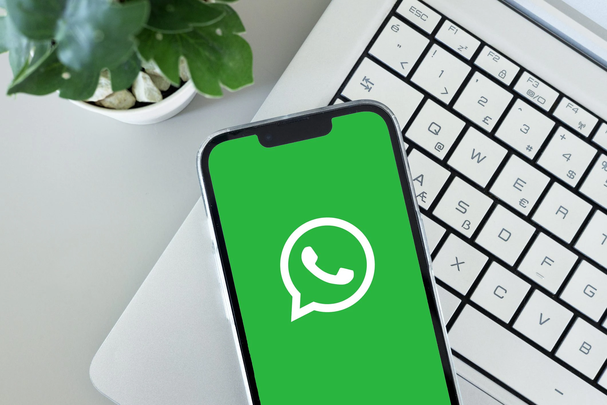 WhatsApp vil slutte å fungere på noen iPhones fra 30. november med gamle iOS-versjoner: hva du skal gjøre