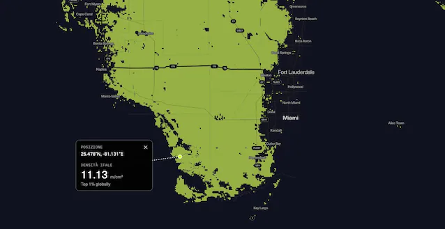 everglades sopp