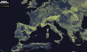 Det underjordiske soppnettverket er kartlagt: det er 110 kvadrillioner km langt, så mye som 1 milliard jord-sol-reiser