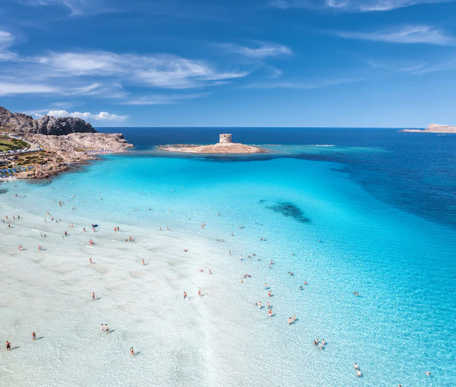 den hårete stranden