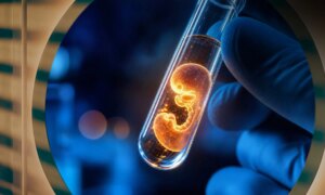 Slutten på anonymitet, hvordan DNA-testing endret gametdonasjon: lovene og risikoene